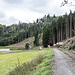 Auf der nordseitigen Talstrasse dann wieder retour zur Steinachklamm, diesmal  auf dem sozusagen offiziellen Weg von Osten her.