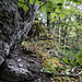 Zur südwestlichen Flanke des Felsens.