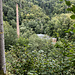 Die Runde abschliessend wieder herab ins Tal. Dabei auch ein (erstaunter) Blick auf verlassene Fabrikanlagen. Seltsam, und das in einem Natur-Kleinod wie dem Steinachtal?!? Es handelt sich um eine 1984 stillgelegte Papierfabrik, erbaut um 1850. Landschaftsschutz spielte damals halt keine Rolle, wohl aber Arbeitsplätze. Trotzdem befremdlich, dass (nicht nur hier, sondern generellel in Deutschland) Industrie-Ruinen oft so lange stehenbleiben und die Gesetzgebung es nicht schafft, Besitzer oder Erben in die Pflicht zu nehmen.