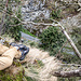 ... herauf: angelangt auf der "Gipfelfelsen-Bugnase" des Südfelsens der Steinachklamm. Zeit für eine zweite Brotzeit, für Zufriedenheit und Dankbarkeit. Noch ein schöner Hikr-Erstbestieg.