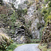 Blick auf die Klamm. Beeindruckend (noch schöner als vorhin von Westen her), wie die beiden schroffen Felsriegel den Talgrund sperren ...