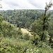 ... kurzem Talblick. Bald danach eine nicht verzeichnete Rückegasse steil rechts/nordwärts in den Hang genommen, an ihrem Ende dann weglos den Rest des Waldhangs herab bis ...