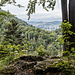 ... nämlich dem Aussichtspunkt Steinachfelsen, etwa unterhalb von Frankenreuth im Hang gelegen. Malerisch der Blick ins Tal und rüber nach Stadtsteinach (auf fränkisch einfach nur "Staanich").