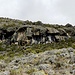 ... diese Felsen an der Route zum Kili von der Horombo-Hütte aus (am 8. November 2012)