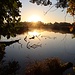 Großteich mit goldenen Minuten