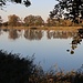 Pfarrteich vom Aussichtsturm