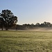 Taufeuchte Morgenwiese bei Wartha