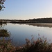 Olbasee