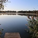 Olbasee