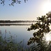 Olbasee