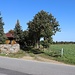 Einstige Werkbahntrasse nach Kleinsaubernitz/Neudörfel am km 0,75