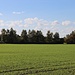 Einstige Bahntrasse Löbau - Radibor