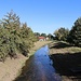 Kotitzer Wasser