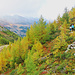 Fantastische Herbstfarben. 