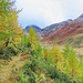 Fantastische Herbstfarben.