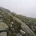 Und schon war es im Nebel verschwunden.