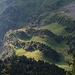 Les arbres font des vagues sur le versant de la montagne