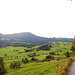 Abstieg auf dem Almweg