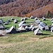 Almdorf? Nein, eine Ferienanlage! Die kleinen Hüttchen im Stile alter Almhütten kann man mieten, Strom, Wasser und Mampf gibt es in den größeren Gebäuden 