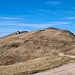 Rückblick, man hätte den Gipfel auch auf der Piste umgehen können