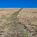 Troglava, der Gipfelmarsch folgt der "Berchtesgadener Linie"