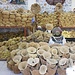 Schwammgeschäft in Pothia