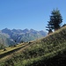 Auf Wiesen unter der Wildebenerspitze quere ich östlich