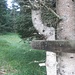 Wegweiser, passend zum Ambiente