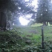 Ankunft am "Gümple"