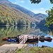 Am See angekommen, es gibt zwar einen kleinen Bootssteg, der ist aber zumindest heute verwaist 