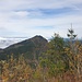 Schwarzenberg...