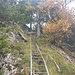 Abstieg über den Klettersteig, oben hat sich derzeit ein abgebrochener Baumstamm verhakt, irgendwann kommt der runter. Wir haben ihn belassen, denn andere Wanderer könnten unten unterwegs gewesen sein..