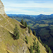Rückblick auf das begangene, weglose Grasband.