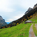 Zurück im Schafbode.