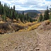 Abstieg entlang des North Fork Derby Creeks