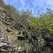 Terreno discesa