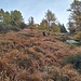 Intorno a 2090 m