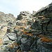 Cresta SE (dal Passo Forato)