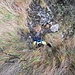 Tuttavia incontriamo vari cliff 