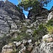 Es muss steil ca. 30 Meter in eine tiefe Scharte abgeklettert werden...