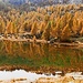 colori,autunno,reflex