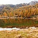Colori