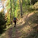 Stupendo il sentiero per Alpe Combanina