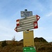 Alpe Combanina