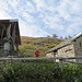 Alpeggio sopra il Bar Bianco