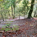 Blick zurück auf die Serpentinen beim Aufstieg zum Eggli