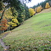 steiler Aufstieg am Waldrand