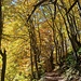 Laubwald ist hier eher selten anzutreffen 
