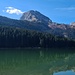 Medved über dem See