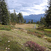 Schöne alpine Landschaft am Niederhorn